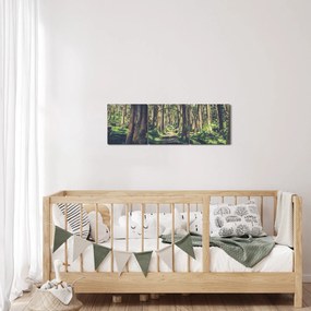 Obraz cesty medzi stromami (s hodinami) (90x30 cm)