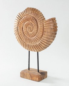 Dekoracja Fossil