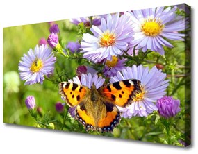 Obraz na plátne Kvety motýľ príroda 120x60 cm