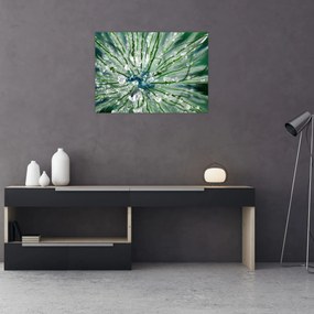 Obraz - Makro snímka kvetu (70x50 cm)