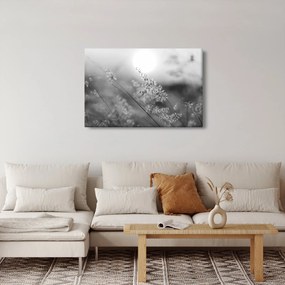 Obraz - Jesenná lúka (90x60 cm)
