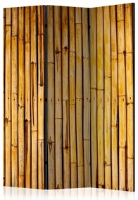 Artgeist Paraván - Bamboo Garden [Room Dividers]
