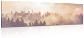Obraz hmla nad lesom - 135x45