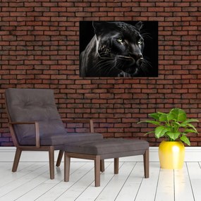 Obraz - Čierny panter (70x50 cm)