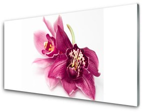 Obraz plexi Kvety rastlina príroda 140x70 cm