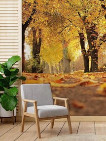 Gario Fototapeta Zlatý lak jeseň Materiál: Vliesová, Rozmery: 150 x 210 cm