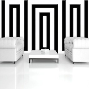 Fototapeta - Čierny a biely labyrint (254x184 cm)