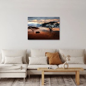 Obraz - Národný park Serengeti, Tanzánia, Afrika (70x50 cm)