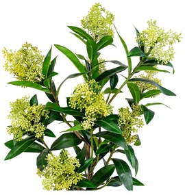 Umelá rastlina Skimmia – House Nordic