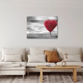 Obraz - Srdce korunou stromu (70x50 cm)
