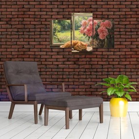 Obraz - Mačka na okne (90x60 cm)