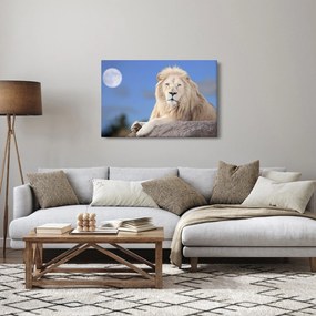 Obraz - Biely lev (90x60 cm)