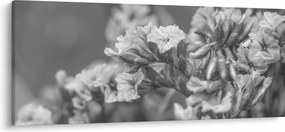 Obraz - Sušené kvety (120x50 cm)