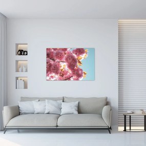 Obraz - Čerešňový kvet (90x60 cm)
