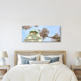 Obraz - Sakura (120x50 cm)