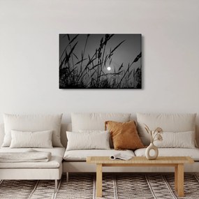 Obraz - Lúka so západom slnka (90x60 cm)