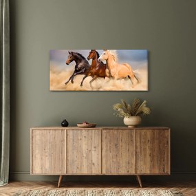 Obraz - Divé kone (120x50 cm)