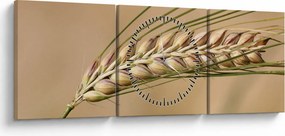 Obraz - Pšenica (s hodinami) (90x30 cm)