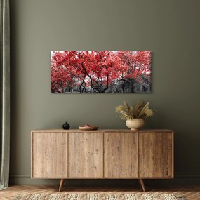 Obraz - Červené stromy, Central Park, New York (120x50 cm)