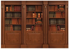 Samolepiaca tapeta elegantná knižnica - Elegant Library - 196x140