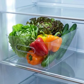 SMARTSTORE Organizér CompactClear, 15,4l (L), 41 x 29 x 15,5 cm