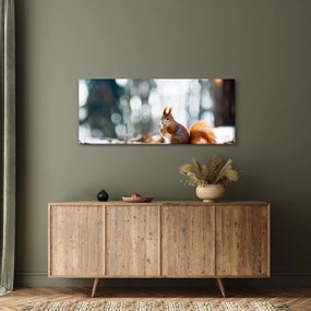 Obraz - Veverička (120x50 cm)