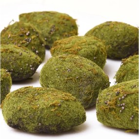 Sada machových hubiek MOOSY, plast, zelená