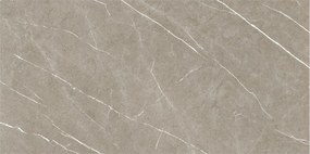 Dlažba Eternal Taupe Natural 60x120 R