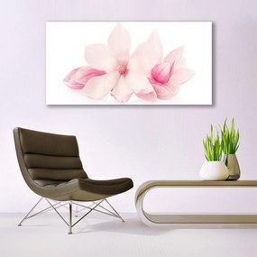 Obraz plexi Kvety plátky rastlina príroda 120x60 cm