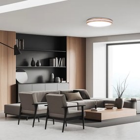 Solight WO8007 - LED Stm. svietidlo WOODY LED/48W/230V 3000-6500K pr. 38 cm + DO