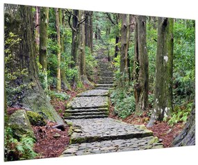 Obraz kamenných schodov v lese (90x60 cm)