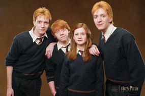 Umelecká tlač Harry Potter - Weasley family, (40 x 26.7 cm)
