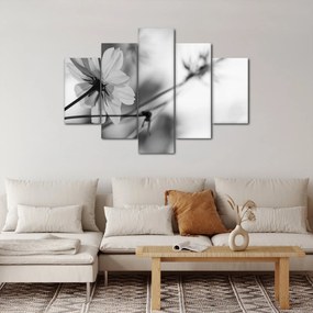 Obraz - Čiernobiele kvety (150x105 cm)