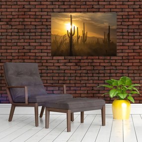 Obraz - Kaktusy Saguaro (90x60 cm)