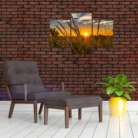 Obraz pole pri západe slnka (90x60 cm)