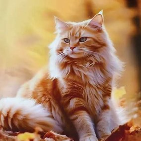 Posteľné obliečky PETTY MAJESTIC 3-dielna sada 140x200 cm