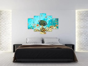 Obraz podmorského sveta (150x105 cm)