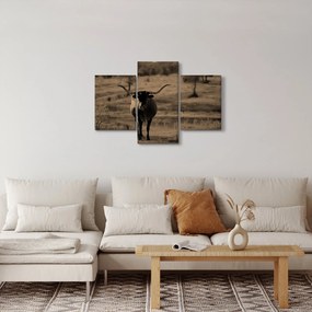 Obraz - Texaská krava (90x60 cm)
