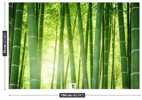 Fototapeta Vliesová Bambusové lesy 104x70 cm