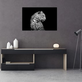 Obraz - Leopard (90x60 cm)
