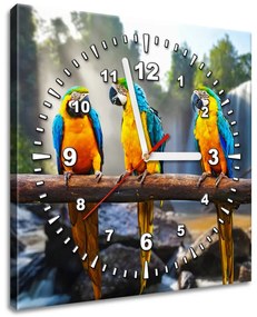 Gario Obraz s hodinami Farebné papagáje Rozmery: 100 x 40 cm