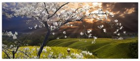 Obraz - Rozkvitnutý strom v krajine (120x50 cm)