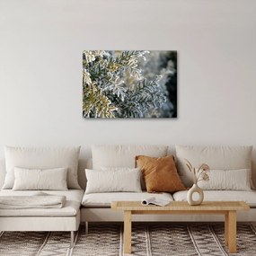 Obraz - Detail vetvy (70x50 cm)