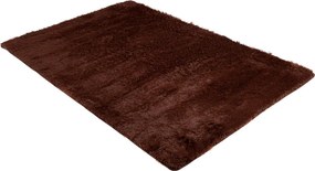 TA Koberec BROWN BROWN SILK Hnedý Obdĺžnikový Rozmer: 80x150 cm