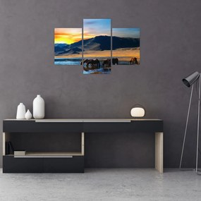 Obraz - Napájadlo (90x60 cm)