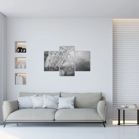 Obraz - Lúka po daždi (90x60 cm)