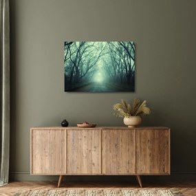 Sklenený obraz - Cesta s alejou stromov (70x50 cm)