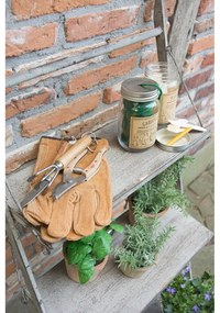 Set pohára a 40 štítkov na bylinky z topoľového dreva Esschert Design Heal, 400 ml