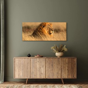 Obraz - Národný park Etosha (120x50 cm)