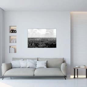 Obraz - Strechy domov v Paríži (90x60 cm)